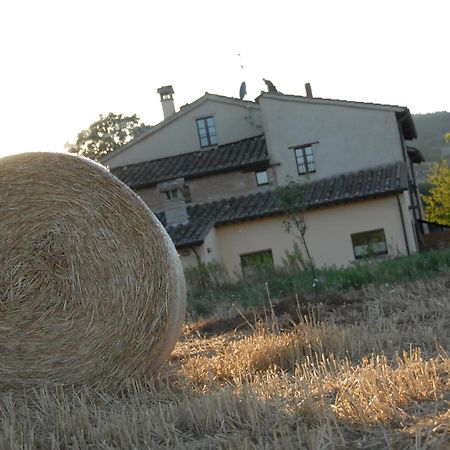Molenda B&B Citta di Castello Luaran gambar