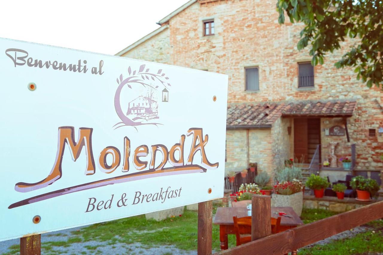 Molenda B&B Citta di Castello Luaran gambar